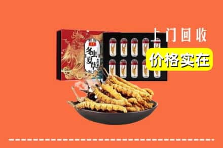凉山木里县回收冬虫夏草