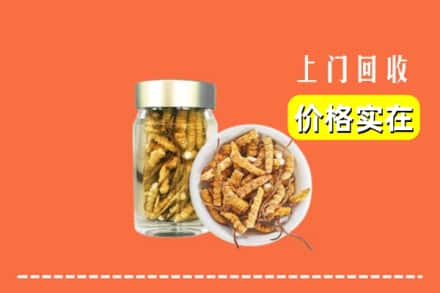 凉山木里县回收散虫草