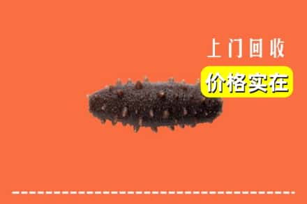凉山木里县回收海参