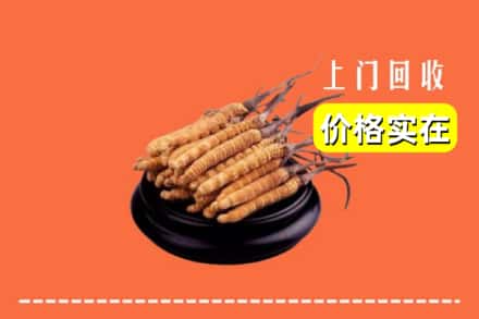 凉山木里县回收冬虫夏草