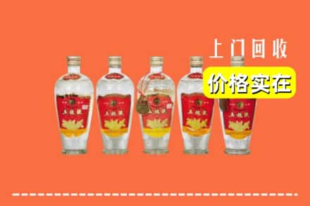 凉山木里县回收老五粮液